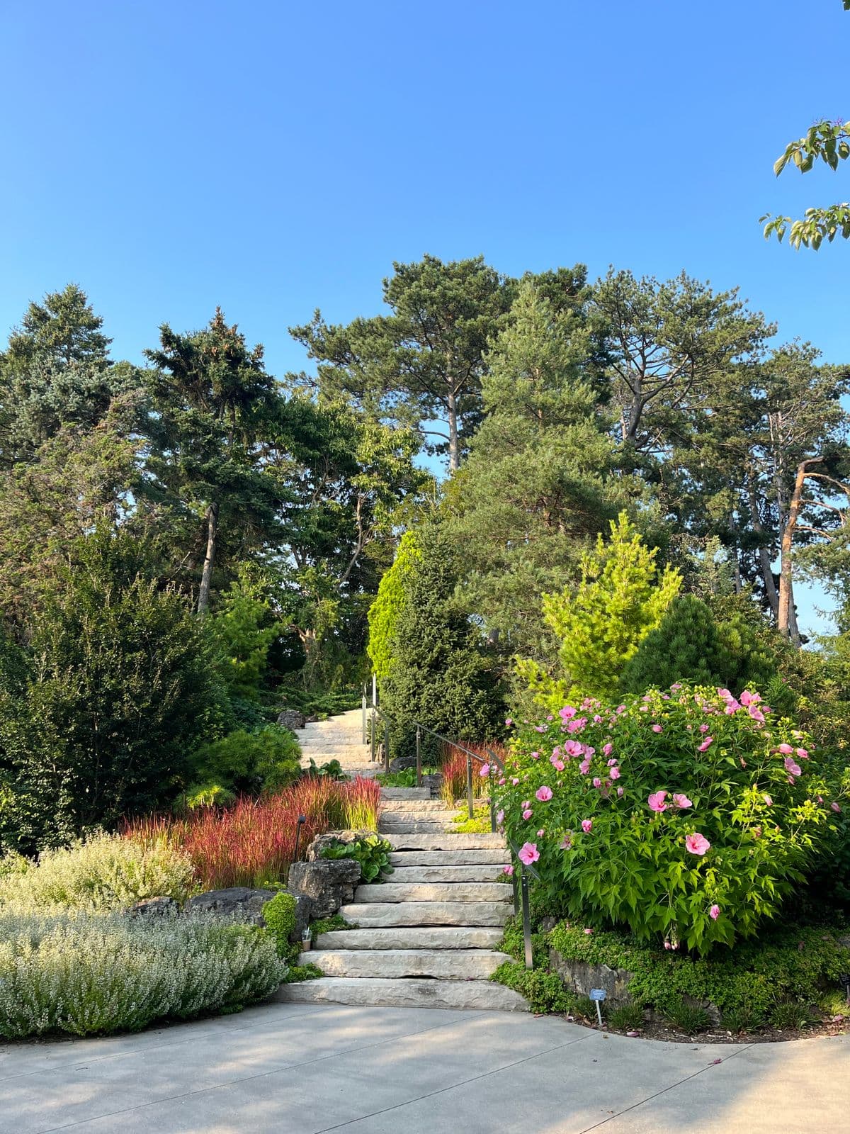Allée de jardin bordée de massifs fleuris entretenus